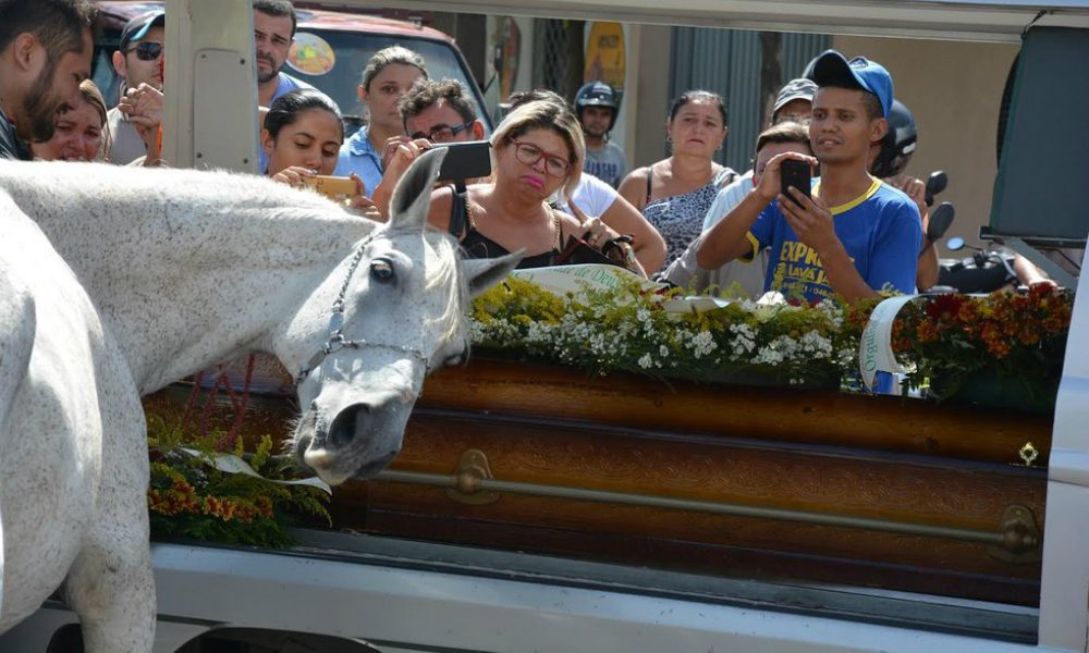 Il commovente addio di un cavallo al suo amico umano [VIDEO]