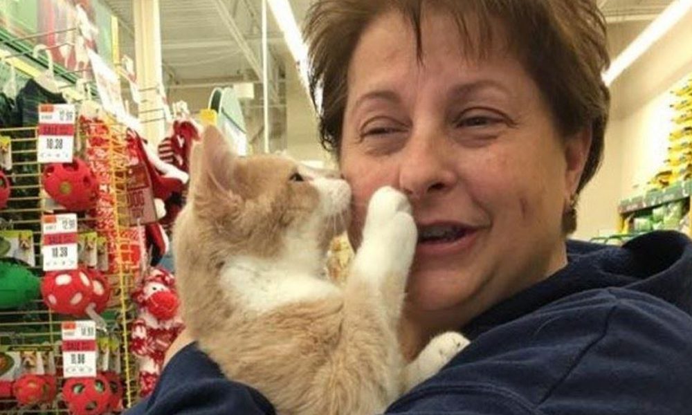 Il gatto bacia e abbraccia la sua mamma umana. E lei scopre che…