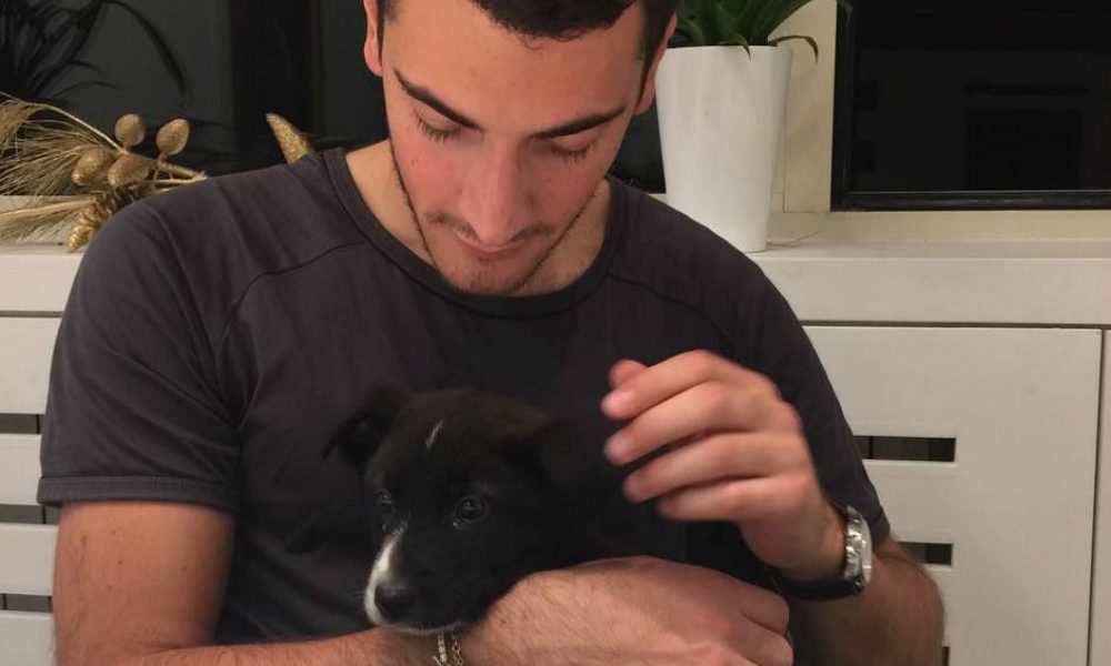 "Caro amico ti scrivo...": Alessandro e il suo Oliver