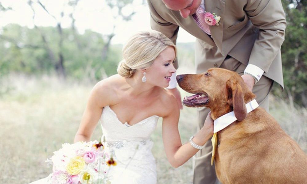 Vuole il suo cane in Chiesa durante il matrimonio: il parroco dice no