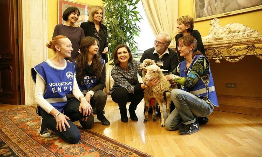 ENPA: “Un'altra Pasqua è possibile”, la Presidente della Camera Boldrini adotta due agnelline