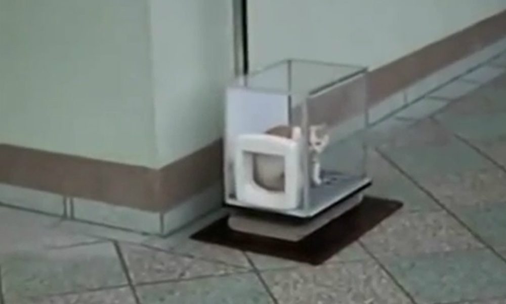 Un ascensore molto particolare… [VIDEO]
