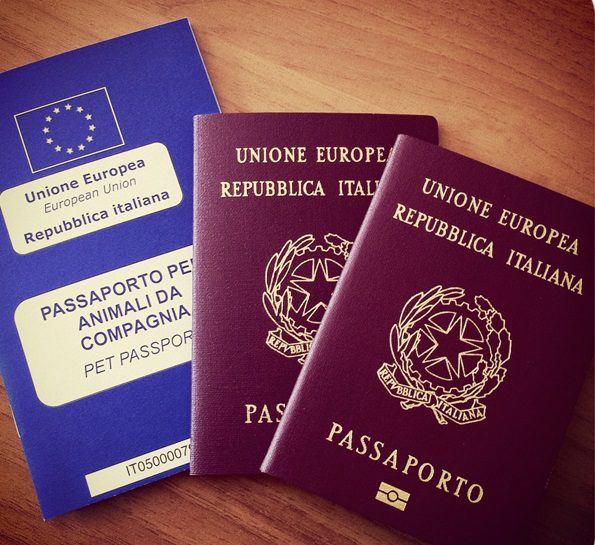 Cane, gatto e passaporto: come fare il documento indispensabile per i viaggi all'estero
