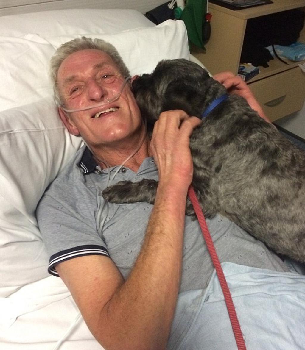 Il cane gli fa visita in ospedale: uomo si risveglia dal coma