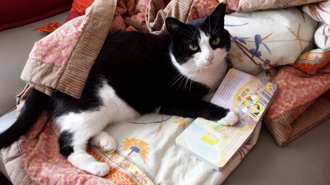 “Books & Pets”, libri e social network contro l’abbandono degli animali domestici