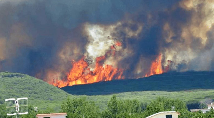 Gatti bruciati vivi sul Vesuvio? Tutta la verità