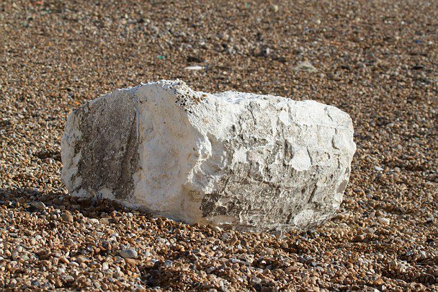 Cani in spiaggia: se vedete una di queste cose portateli via [VIDEO]