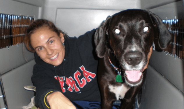 Dopo 11 anni d'amore, scrive un necrologio al suo cane: la tv nazionale lo pubblica