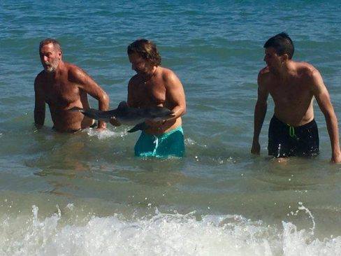 Baby delfino muore di paura tra le braccia dei bagnanti: volevano una foto con lui [VIDEO]