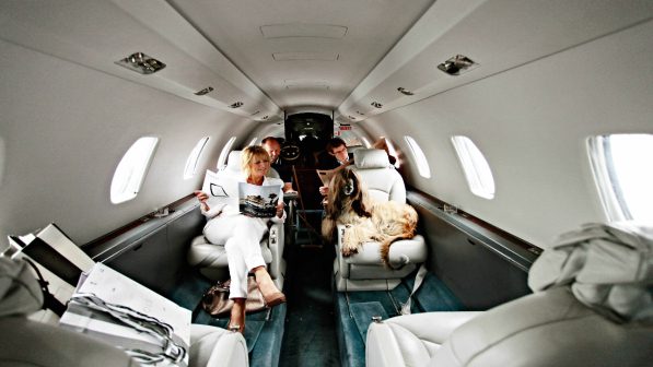 I cani viaggiano nella cabina di un aereo, una donna urla: la compagnia reagisce così [VIDEO]