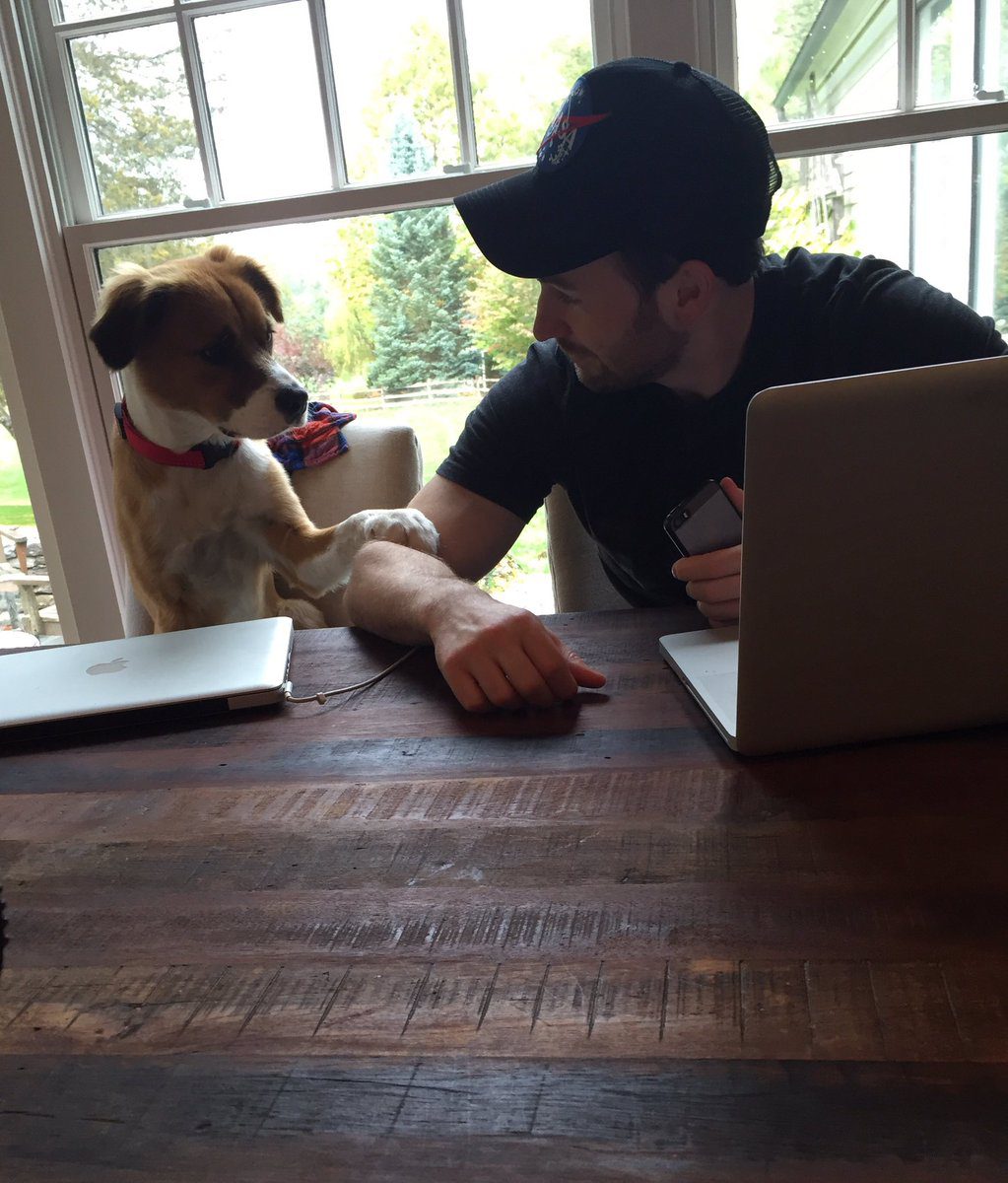 Chris Evans vede il cane dopo 10 settimane sul set: il video spezza il cuore
