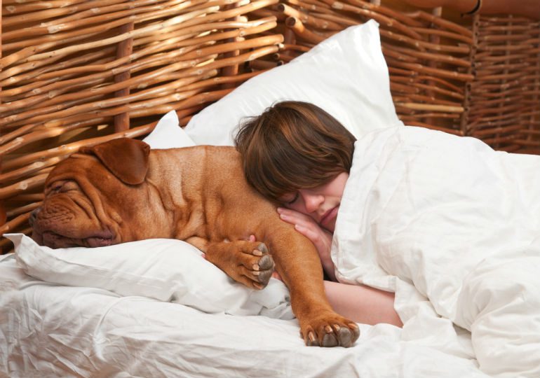 Dormire col cane fa bene alla salute: ma c'è un ma