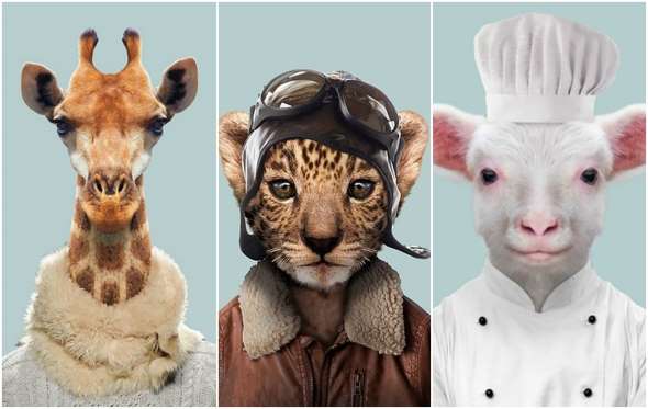 Zoo Portraits: e se gli animali vestissero come noi?