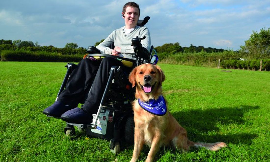 È completamente paralizzato: la miglior cura è il suo cane