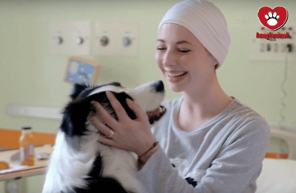 Edoardo Stoppa, Gabriele Cirilli e lo spot per gli animali in ospedale [VIDEO]