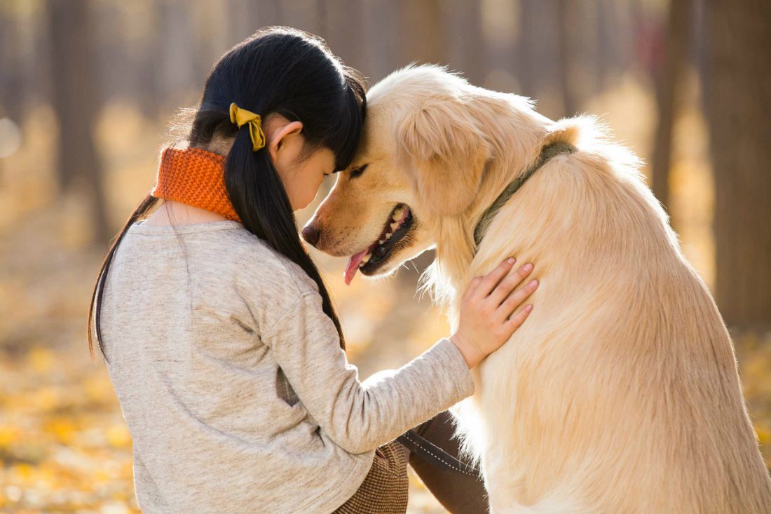 Amiamo più i cani che le persone: lo dimostra la scienza