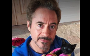 Robert Downey Jr. e il gattino sui social: la foto che ha scatenato i fan