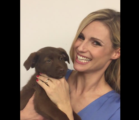 Michelle Hunziker e il nuovo cane di Striscia: l'appello per il nome [VIDEO]