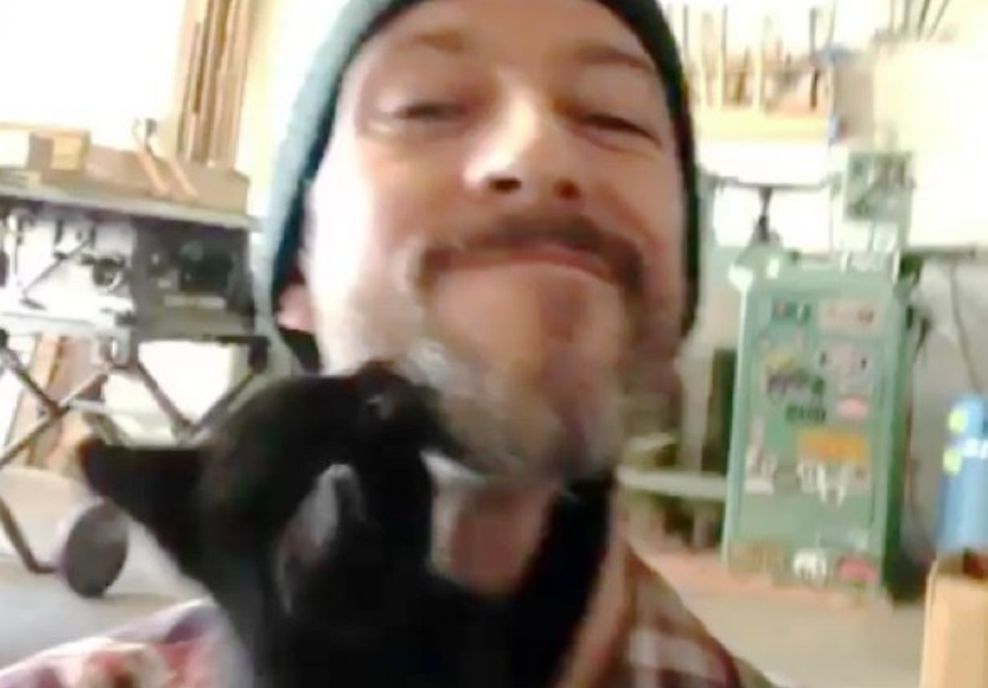 Un uomo cattura il momento in cui viene scelto da un gatto randagio [VIDEO]