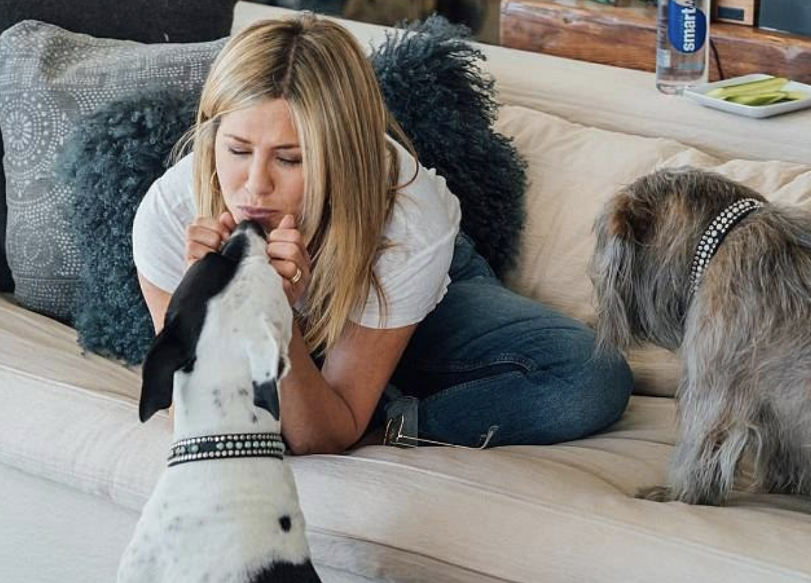 Jennifer Aniston e Justin Theroux, dopo il divorzio è guerra per i loro cani