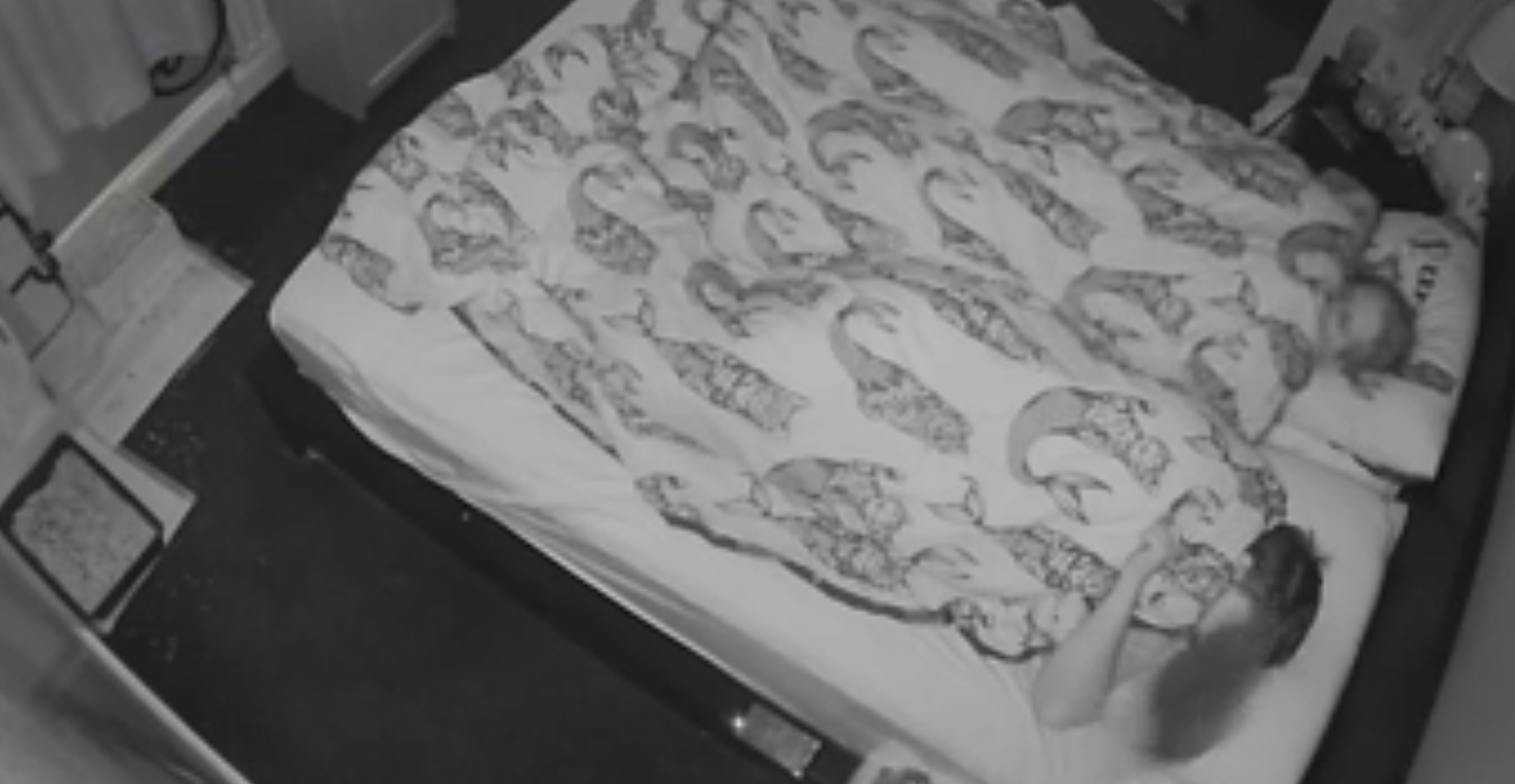 La vita notturna di un coniglio: i proprietari dormono e lui... [VIDEO]