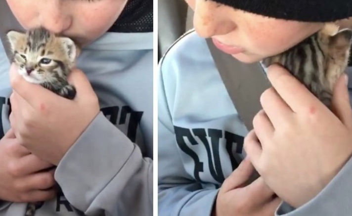 Bimbo di 10 anni trova un gattino abbandonato: quello che accade è commovente [VIDEO]