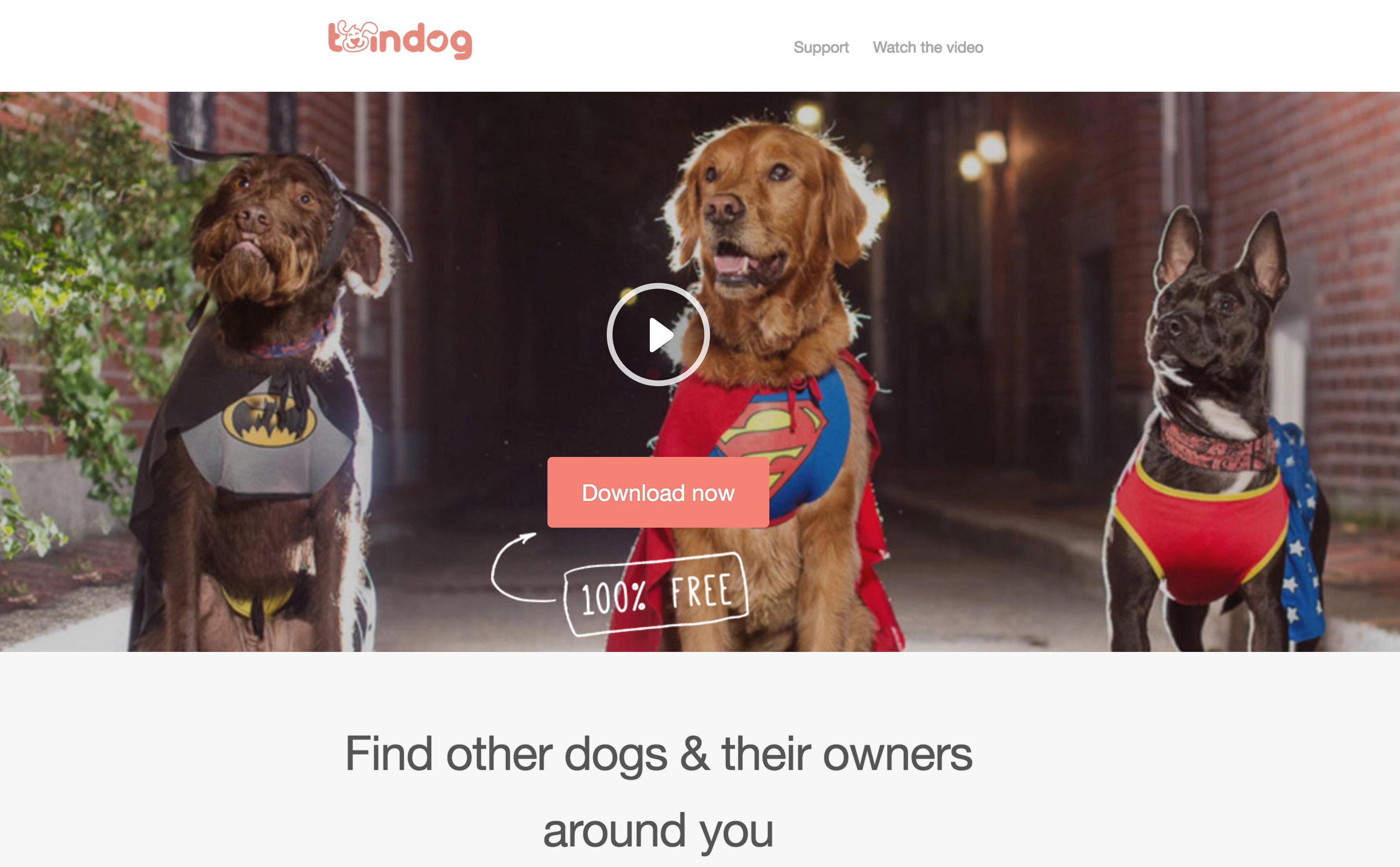 Twindog: ecco il Tinder per incontri (anche sexy) tra cani