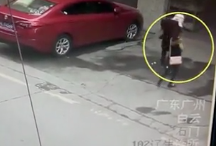 Un cane cade da una finestra e colpisce una donna: è salvo [VIDEO]