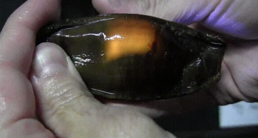 Trova un uovo verde e misterioso: ecco cosa contiene [VIDEO]