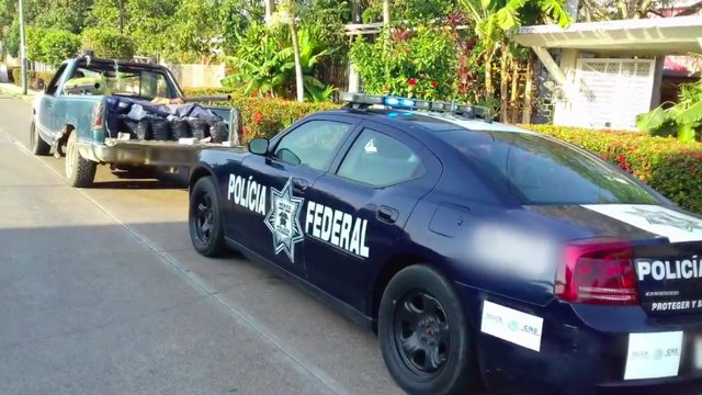 La polizia ferma un camion pieno di sacchetti di plastica: quello che trova è sconvolgente