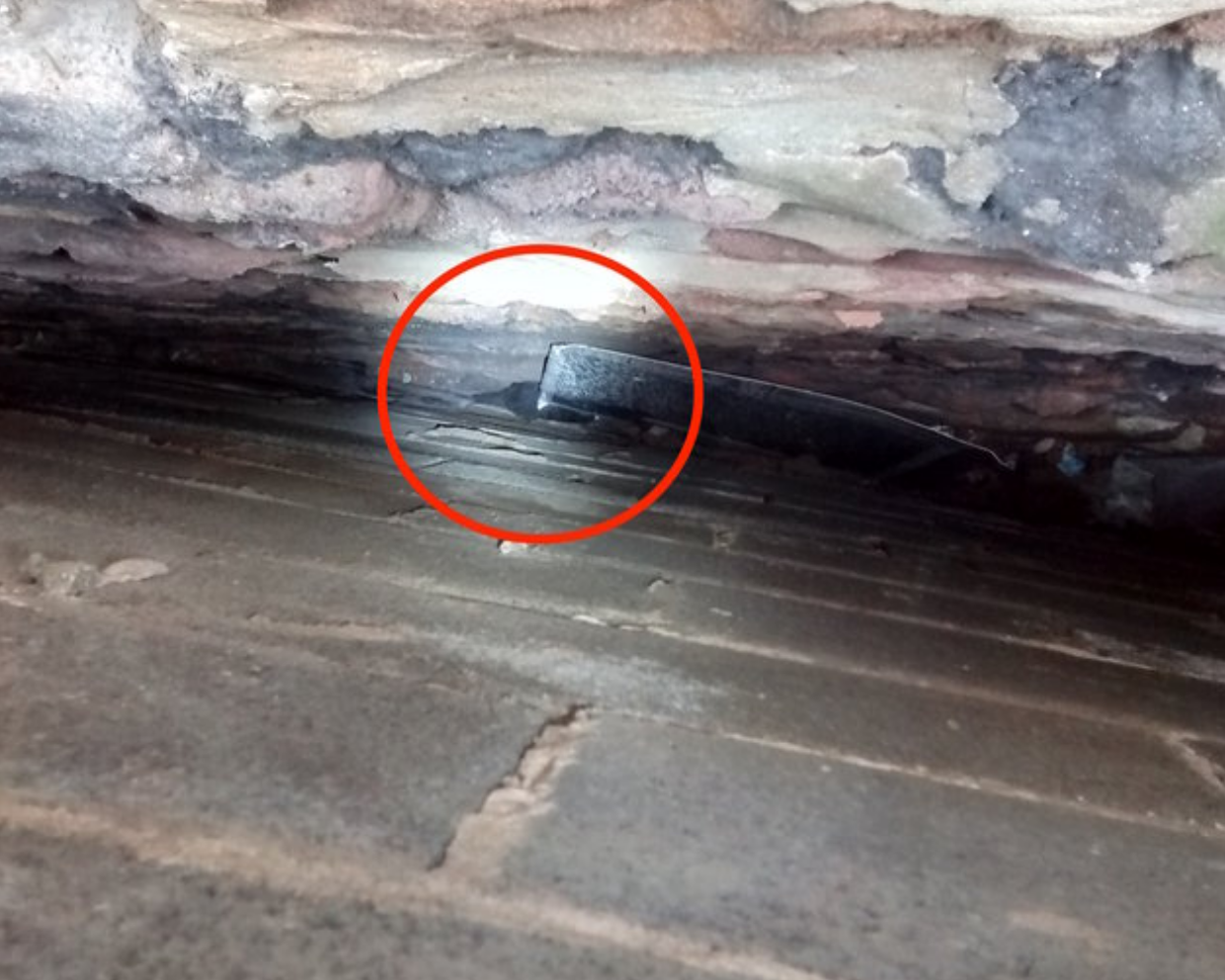 Sentono un rumore tra due palazzi: poi la scoperta shock [FOTO]