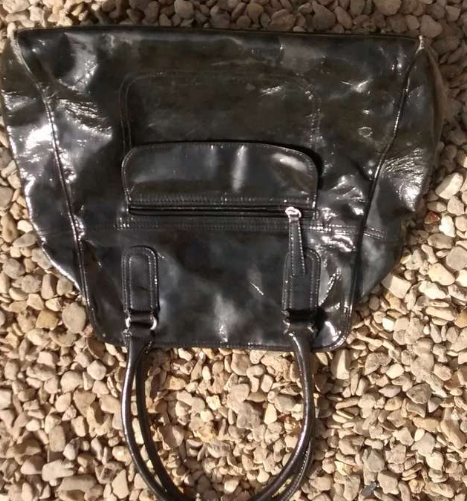 Trovano una borsa abbandonata a terra: dentro l'incredibile sorpresa [VIDEO]
