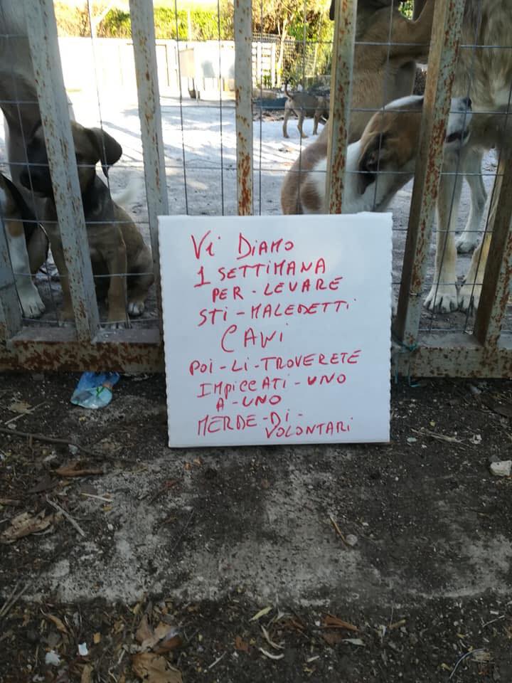 Palermo, minacce al canile di Partinico: "Li troverete impiccati uno a uno"