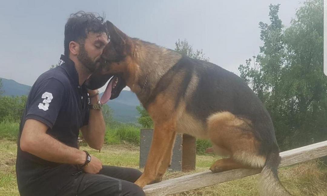 Avvelenato Kaos, cane eroe di Amatrice. Il ricordo [VIDEO]