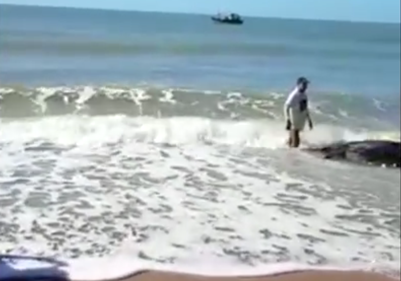 Ritirano le reti da pesca: quello che trovano è incredibile [VIDEO]