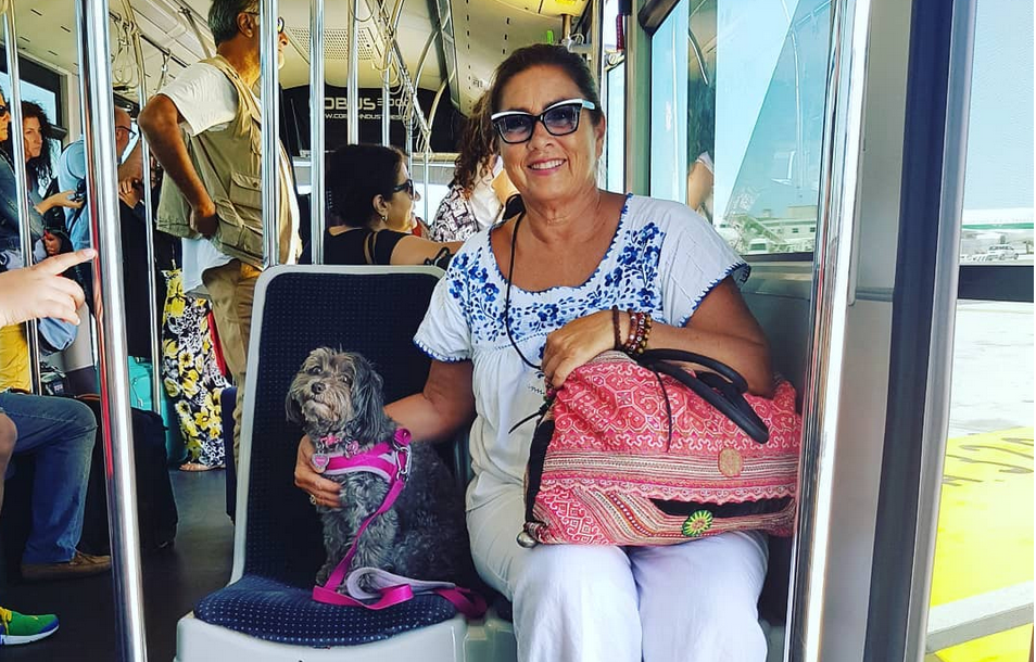 Romina Power e gli animali: "Sono il mio primo pensiero al mattino" [VIDEO]