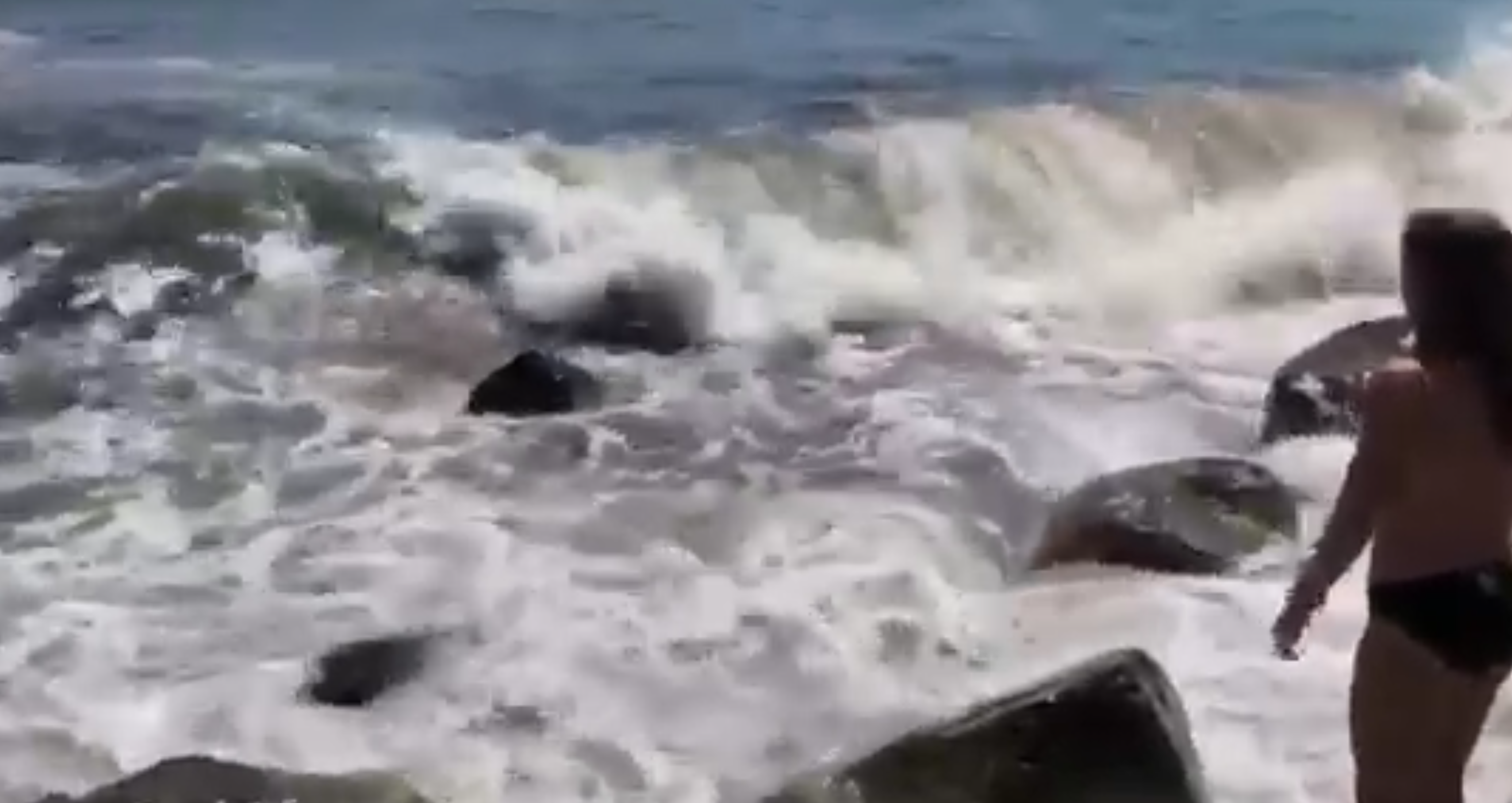 Vede uno squalo in difficoltà tra gli scogli e fa una follia [VIDEO]