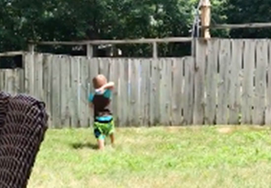 Non prendono un cane perché hanno un bimbo, ma il piccolo ci pensa da solo [VIDEO]