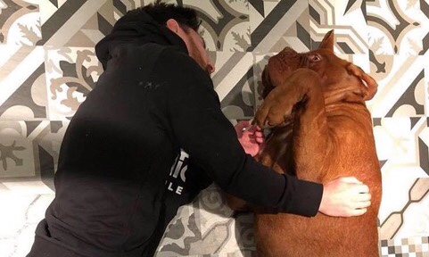 Leo Messi e il cane Hulk giocano a pallone: lo spettacolo è virale [VIDEO]