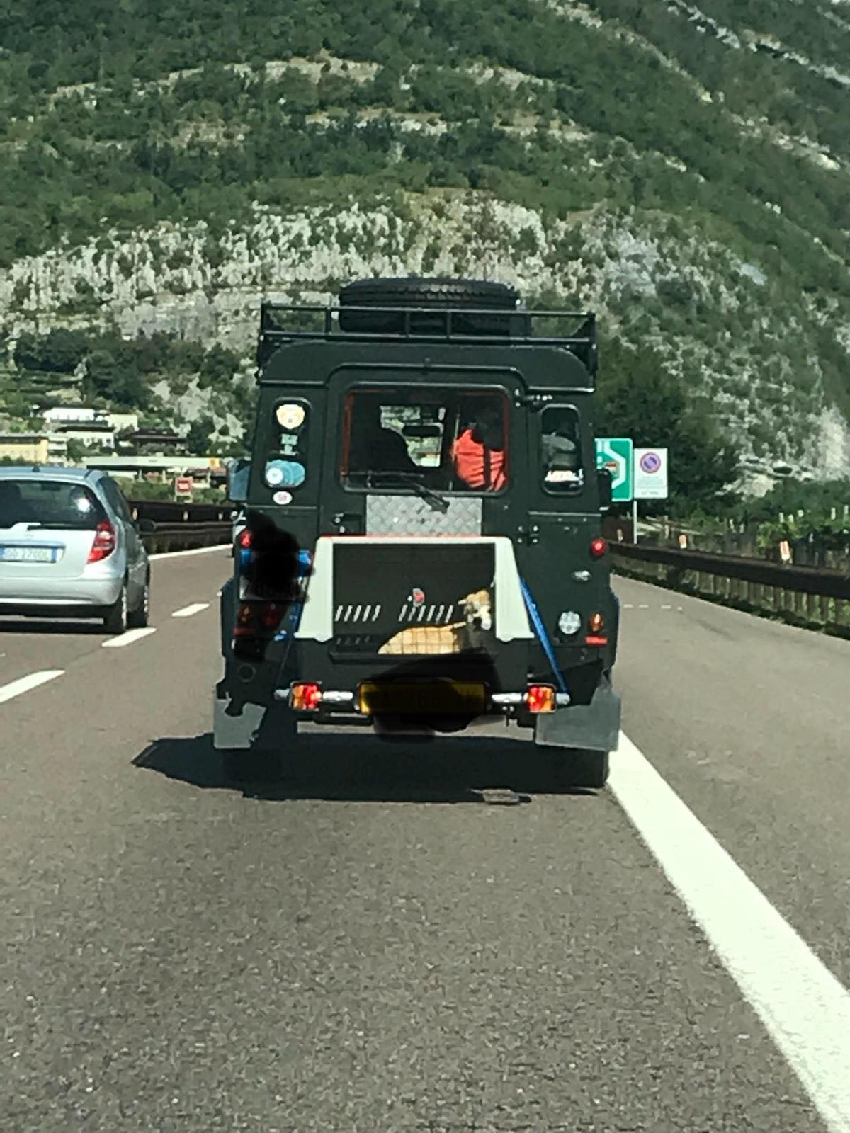 Follia in autostrada: ecco come trasportano il cane [FOTO]