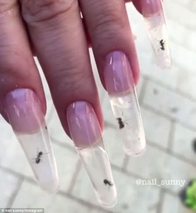 Formiche vive nelle unghie: la nuova "moda" arriva dalla Russia [VIDEO]