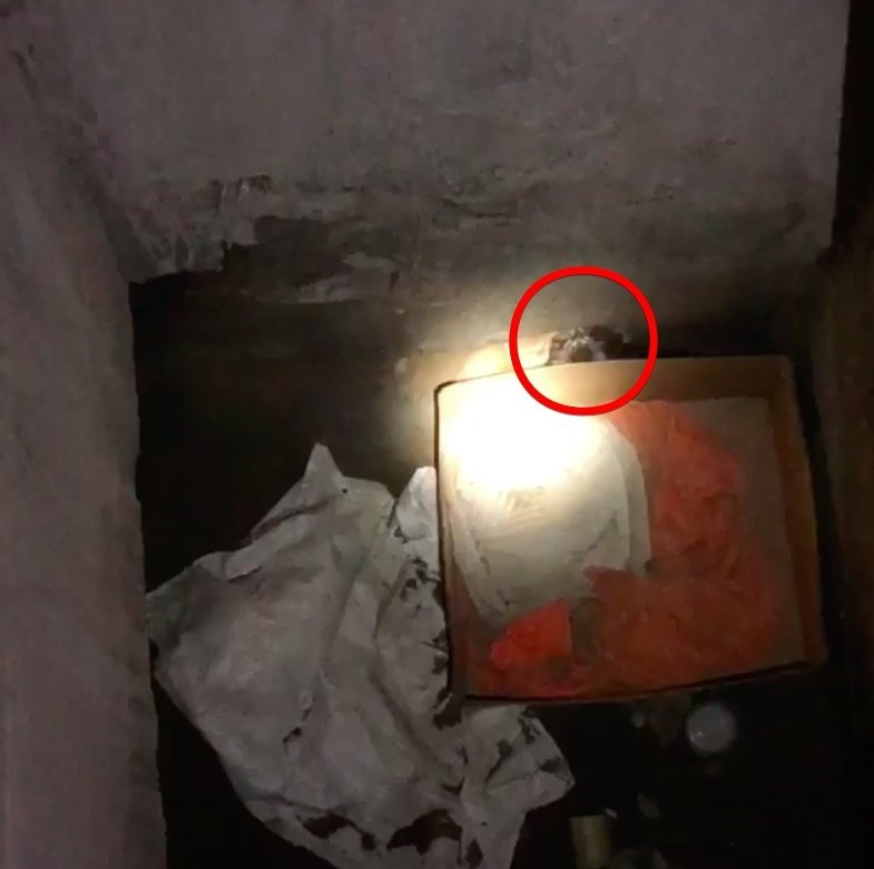 Scavano in un cantiere e fanno la scoperta più dolce [FOTO]