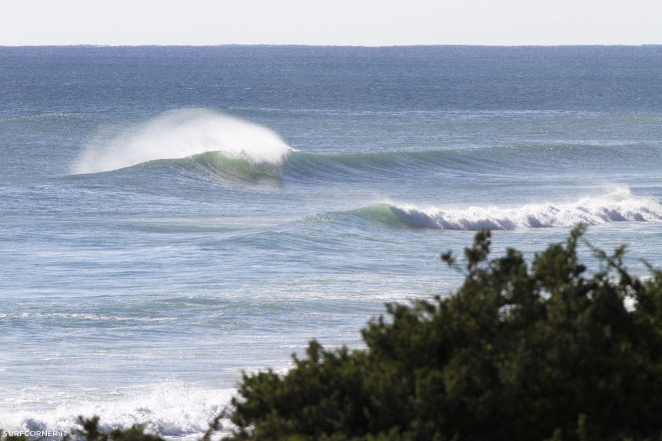 Escono in mare a fare surf: quello che trovano è incredibile [FOTO]