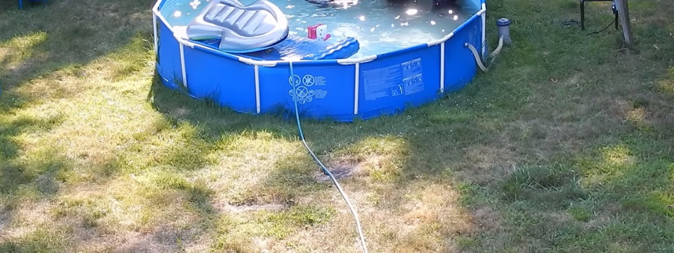 Vanno a fare un tuffo in piscina e quello che trovano è incredibile [VIDEO]