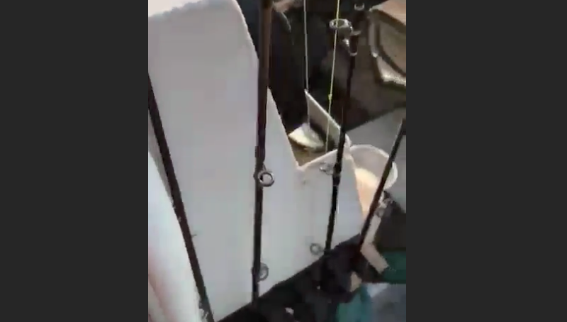 Sono sulla barca a pescare: poi lo shock [VIDEO]