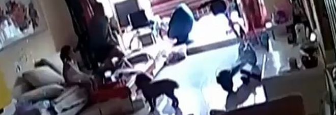 Il cane fa una mossa insolita e salva tutta la sua famiglia [VIDEO]