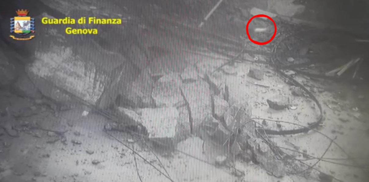 Genova, un gatto bianco emerge dalle macerie: potrebbe essere Ginevra? [VIDEO]