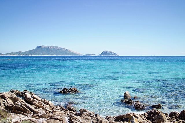 raro avvistamento in Sardegna