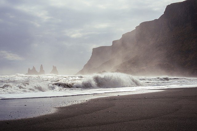 strana creatura in spiaggia