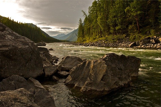 Creatura enorme nel fiume